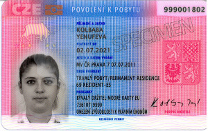 Biometrika pro cizince